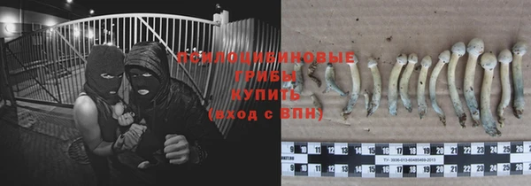 гидра Горно-Алтайск