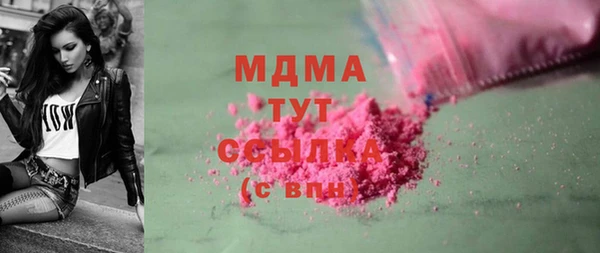 гашик Горняк