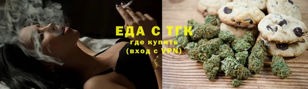 гашик Горняк