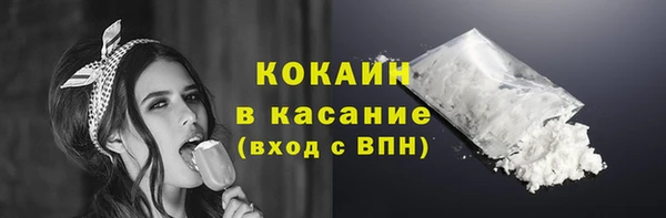 гидра Горно-Алтайск