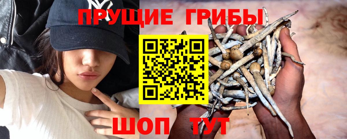 Галлюциногенные грибы мицелий  где найти   Дзержинский 